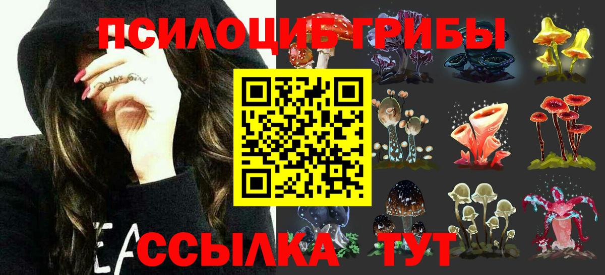 Псилоцибиновые грибы мухоморы  Псилоцибиновые грибы GOLDEN TEACHER  Вход с VPN  Иваново 